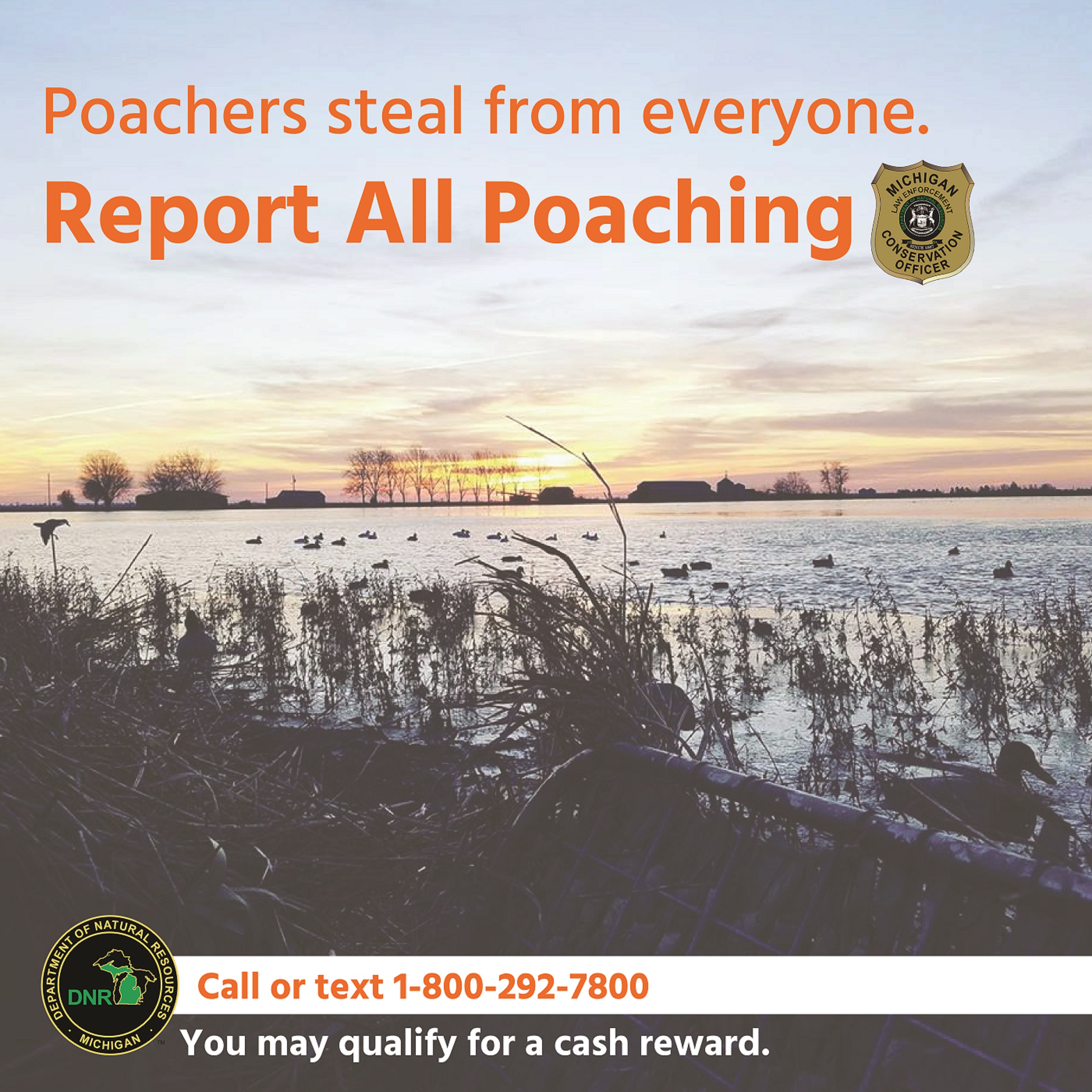 Conservation officers catch pair of brothers poaching swans in Baraga